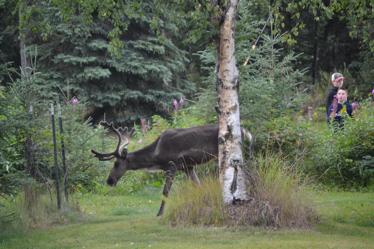 All Seasons B&B Kenai Exterior foto